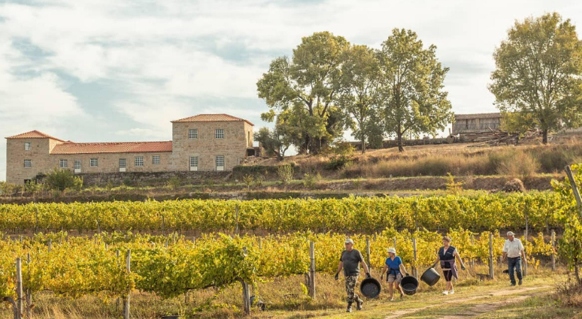 "Anselmo Mendes: A Arte da Vinificação em Vinhos Brancos." https://intelivino.com.br/vinicola/anselmo-mendes/