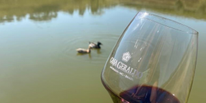 Casa Geraldo Enoturismo